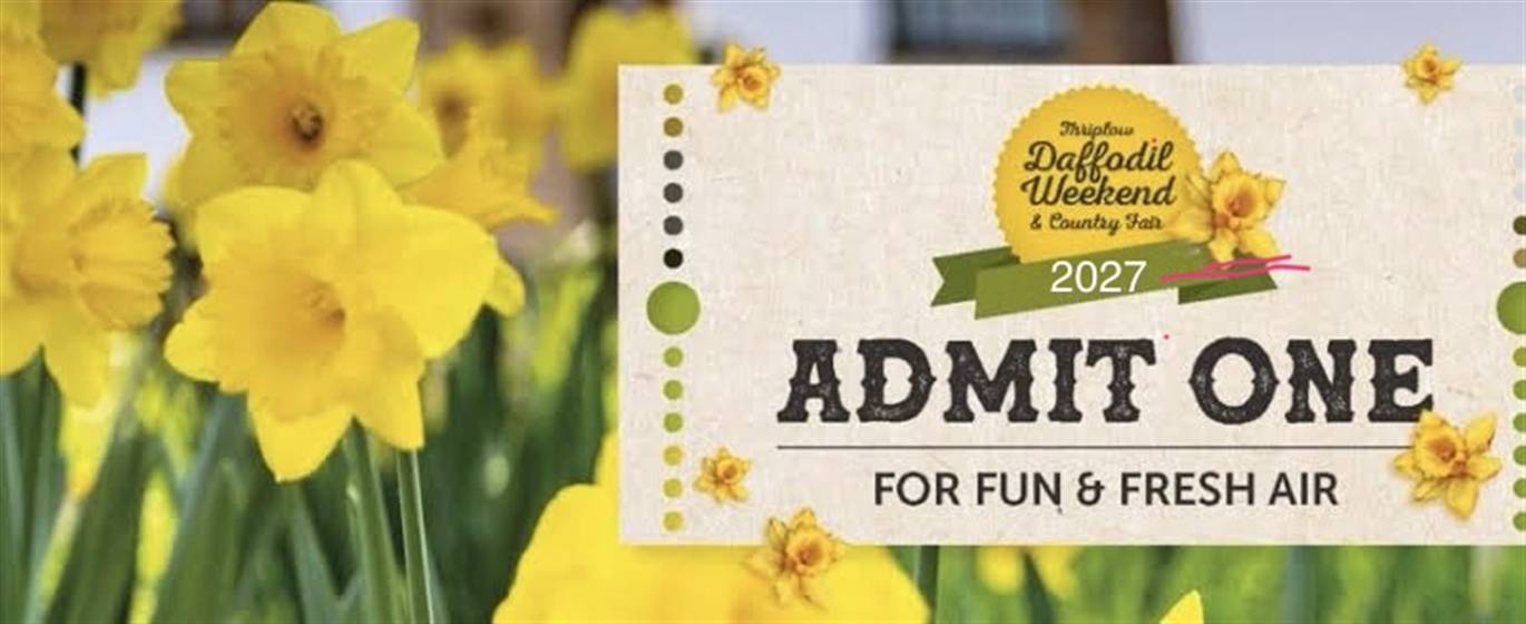Thriplow Daffodils 2027