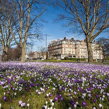 Harrogate 2027