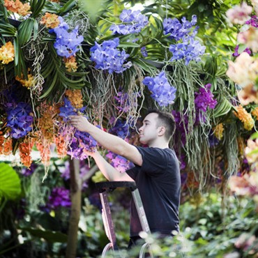 Kew Orchid Festival 2026